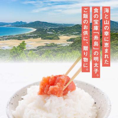 ふるさと納税 糸島市 酒と醤油の 辛子明太子( 特切 450g ) 糸島市 / やますえ [AKA044] |  | 01