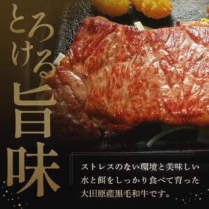 大田原産 黒毛和牛 サーロイン ステーキ　約300g×2枚