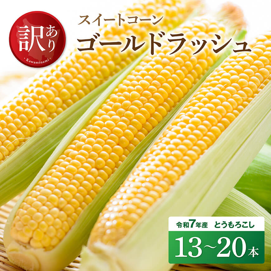 【訳あり】令和7年発送　宮崎県産とうもろこし　スイートコーン「ゴールドラッシュ」13〜20本 宮崎県産 スイートコーン ゴールドラッシュ 13〜20本 新鮮 農家直送 トウモロコシ 産地直送