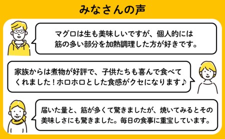 【訳あり】 天然 メバチマグロ 鮪 腹身 ハランボ 2kg 冷凍 高知県 須崎市