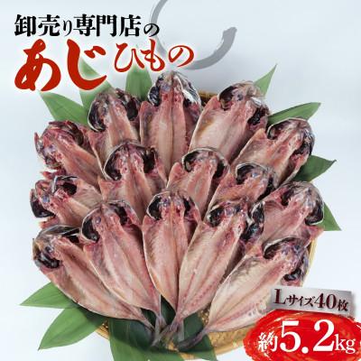ふるさと納税 沼津市 アジ干物 Lサイズ 40枚(約5.2kg)1枚あたり130g前後