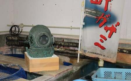 修福丸ん赤・青ナマコの食べ比べ！(赤・青各1袋) | 豊後高田市 なまこ