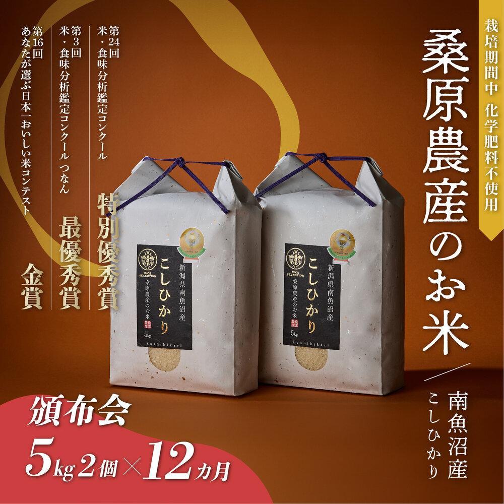 【ふるさと納税】【R7年産新米予約】米 定期便 コシヒカリ 南魚沼産 120kg ( 10kg × 12ヵ月) 桑原農産【2025年9月下旬より順次発送予定】 | お米 こめ 白米 コシヒカリ 食品 人気 おすすめ 送料無料 魚沼 南魚沼 南魚沼市 新潟県産 新潟県 精米 産直