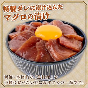 松村海産自家製　土佐の海鮮漬け丼(マグロ)90g×3パック入 酒の肴に海鮮丼に茶漬けに飯ともに【配送不可地域：離島】【BY008】