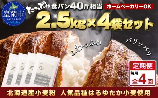 【毎月定期便】北海道産 はるゆたかブレンド小麦粉 シルバーライズ（パン用強力粉）10kg 全4回【ふるさと納税 人気 おすすめ ランキング 小麦 小麦粉 粉 シルバーライズ はるゆたか ブレンド パン用 強力粉 穀物 国産 北海道産 食パン パン こむぎ こむぎこ ギフト 贈答 プレゼント 贈り物 定期便 北海道 室蘭市 送料無料】MROBI032