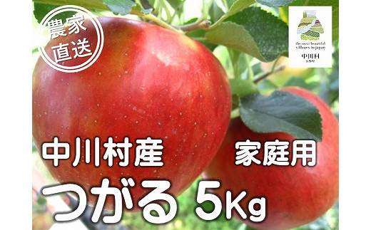 担当者おすすめ「味覚の里なかがわ」の旬のくだもの（つがる自家用５Kg箱）８月下旬発送予定