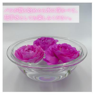 ふるさと納税 田原市 バラの花束　訳ありチャーミングローズ50本 |  | 03