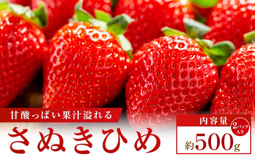 
                  【大収穫祭・感謝企画】数量限定!!さぬきひめいちご　約500g
                