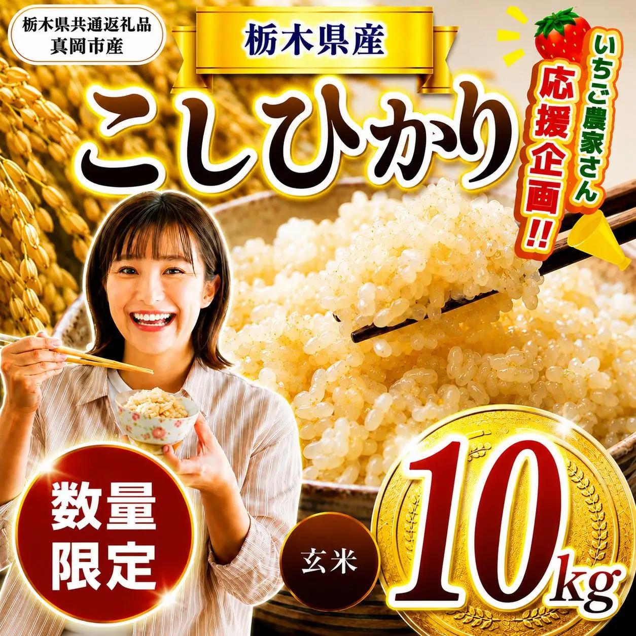 【先行予約】【令和8年度産】 栃木県産コシヒカリ 10kg | 【栃木県共通返礼品】