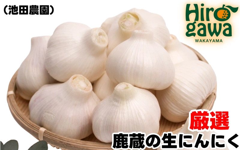 
            生 にんにく 1kg 厳選 / 生にんにく 国産 高級  ※5月上旬～5月下旬に順次発送 ※北海道・沖縄・離島への配送不可【ikd403-r-1】
          