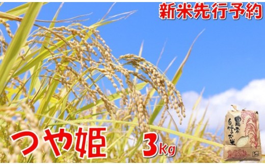 【令和８年産米 先行予約】つや姫3kg　佐藤