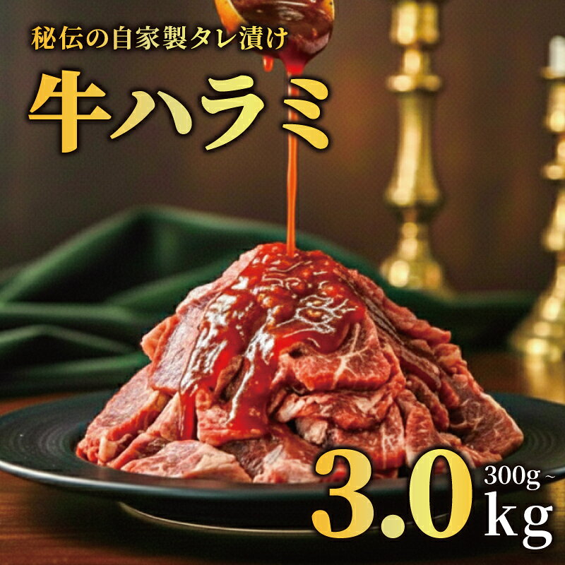 【ふるさと納税】 牛ハラミ タレ漬け 300g~3kg 特選 タレ漬け牛ハラミ 個包装 冷凍 小分け ハラミ 牛肉 お肉 肉 にく 特製 たれ 味付き 焼肉セット 焼肉用 野菜炒め 焼肉 たれ 人気 うし ぎゅうにく おにく ふるさと納税牛ハラミ バーベキュー BBQ 奈良県 奈良市 なら