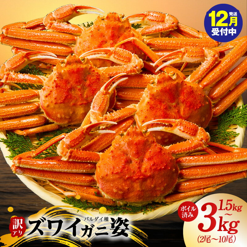 【ふるさと納税】【年内発送受付中】 訳あり バルダイ種 ズワイガニ姿 1.5kg / 3kg ボイル済 オオズワイガニ カニ ズワイガニ ファミリー向け 昆布熟成 冷凍 本格海鮮 濃厚 カニみそ ごちそう おつまみ かに鍋 カニ雑炊 甲羅焼き お取り寄せ グルメ 大阪府 泉佐野市 送料無料