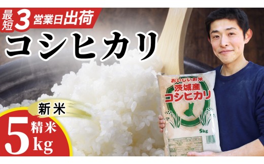 【新米】 コシヒカリ 精米 5kg  スピード発送 スピード出荷 最短3～7営業日出荷 即納 産地直送 茨城県 城里町 新米 精白米 米 ご飯 こしひかり 米 白米 精米 単一原料米 (AX016)