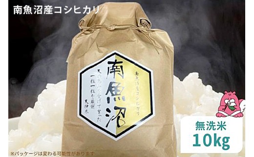 令和8年産 10kg〈無洗米〉越後湯沢産 南魚沼産 コシヒカリ 豪雪を源とする水の恵み【湯沢産 コシヒカリ】