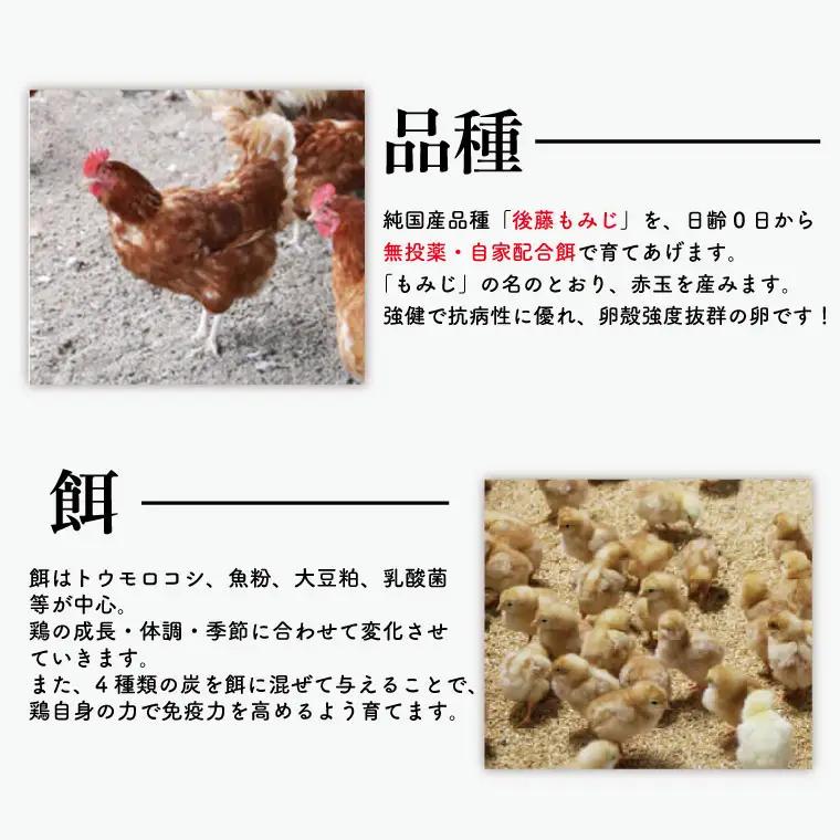 平飼いたまご 定期便 30個 年12回 高橋ファームの丈夫卵 もみじ AQ013
