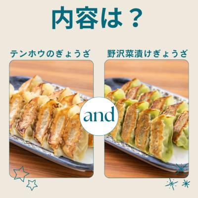 ふるさと納税 諏訪市 テンホウのぎょうざ12粒入り2パック/野沢菜漬けぎょうざ12粒入り2パック[冷凍] |  | 01