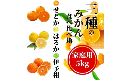 【先行予約】 【三種のみかん食べ比べ箱】せとか・はるか・宮内伊予柑 （家庭用）約5kg　＜2月から順次発送＞ | 愛媛 みかん 先行予約 蜜柑 柑橘 果物 くだもの フルーツ お取り寄せ グルメ 期間限定 数量限定 人気 おすすめ 愛媛県 松山市