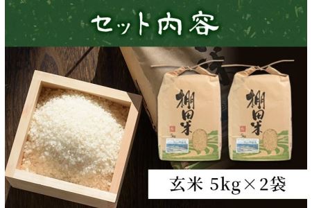 【玄米】鹿児島県産 10kg 玄米【福永商店】_y056-R7A