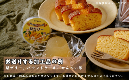 季節の野菜&市内産加工品 詰め合せセット | 野菜
