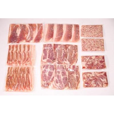 ふるさと納税 南房総市 里見和豚　良い肉ライト(総量1.3kg) |  | 03