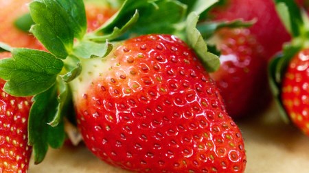 【 2026年1月上旬発送開始 】完熟！ やよいひめ 260g×2パック・とちおとめ 260g×2P 食べ比べ 国産 いちご イチゴ 苺 [BC008sa]