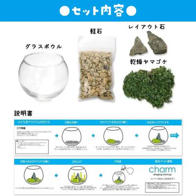 ふるさと納税 邑楽町 小さな苔テラリウム カプセルトイ 30個セット 株式会社チャーム|09_chm-dl3001 |  | 03