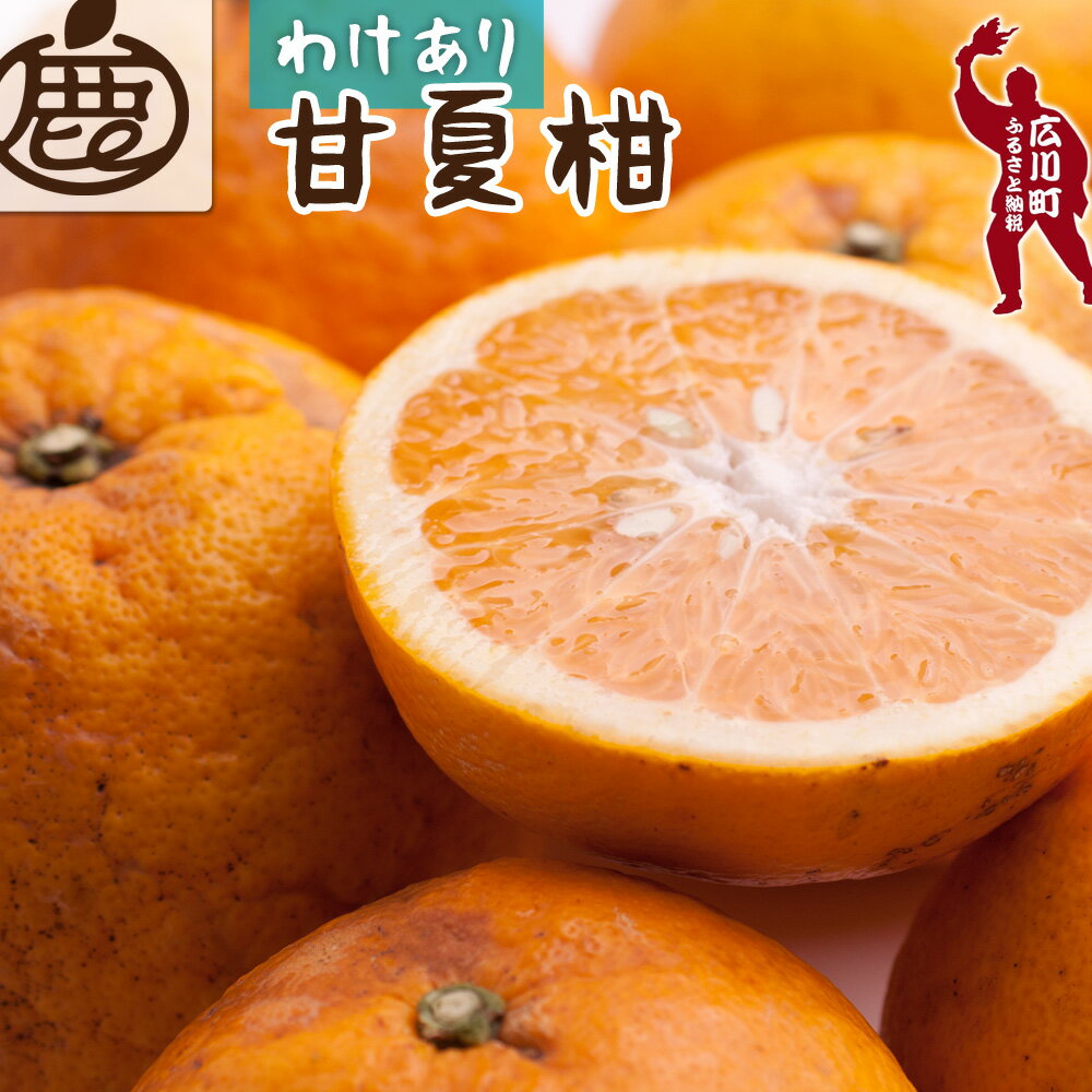 【ふるさと納税】 甘夏柑 家庭用 光センサー 選果 / みかん 甘い 訳あり 柑橘 晩柑 和歌山 有田 ※4月上旬～6月下旬ごろに順次発送予定 ※北海道・沖縄・離島への配送不可 //hassaku