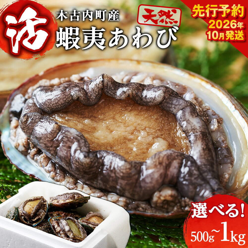 【ふるさと納税】【2026年10月以降発送】活あわび 選べる500g～1kg 木古内産アワビ 天然 北海道 鮑 あわび 貝 海鮮 お刺身 ステーキ 高級食材 お取り寄せ グルメ 産地直送 酒の肴 【配送不可地域：離島】北海道ふるさと納税 木古内町 ふるさと納税 北海道