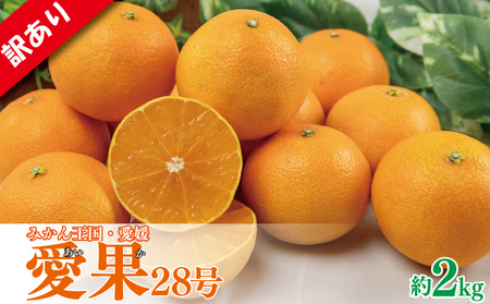 【先行予約】【2025年11月下旬以降順次発送】訳あり 家庭用 愛果28号 約2kg 訳あり あいか みかん 柑橘 松山 愛媛県 人気おすすめ 紅まどんな 紅マドンナ と同品種 【VEG0032】