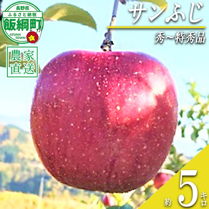 【ふるさと納税】 りんご サンふじ 秀 〜 特秀 5kg ファームトヤ 令和8年度収穫分 長野県 飯綱町 〔 信州 果物 フルーツ リンゴ 林檎 ふじ 長野 予約 農家直送 〕発送時期：2026年11月中旬〜2026年12月下旬 {***}