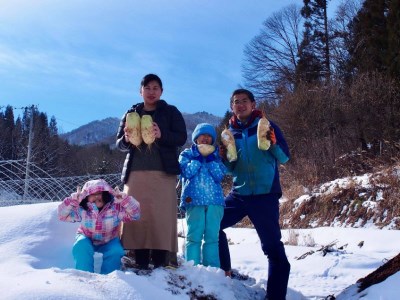 【1月下旬～2月下旬発送】《先行予約》飛騨 山之村 清水さんちの「寒熟だいこん」完熟大根 約4.5kg 2～6本 野菜 産地直送 ダイコン 鍋 おでん 煮物[A0122wxch] 