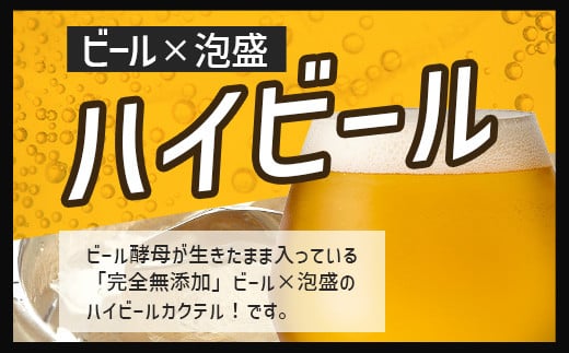 V-25 石垣島ハイビール 12本セット