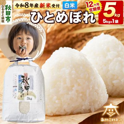 ふるさと納税 秋田市 R8産新米受付《定期便12ヶ月》ひとめぼれ 5kg 【白米】 |15_akn-gg0512hs