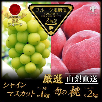 【ふるさと納税】【発送月固定定期便】フルーツ定期便全2回【配送不可地域：離島・沖縄県】【4066752】