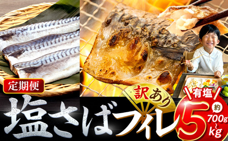 【定期便 毎月3回】 塩サバフィレ 計:9kg ※1回あたり3kg 冷凍 鯖 塩 さば 魚 塩さば さかな 海産物 おかず 鯖ご飯 魚介 海鮮 惣菜 塩サバ 塩鯖 焼き鯖 サバ 焼きさば 焼さば 南知多 定期便 人気 おすすめ 愛知県 南知多町