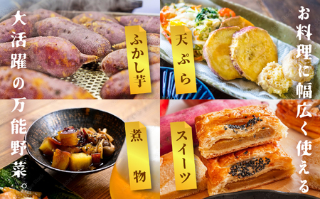 さつまいも 紅はるか 3kg ｜さつまいも【株式会社橋本】