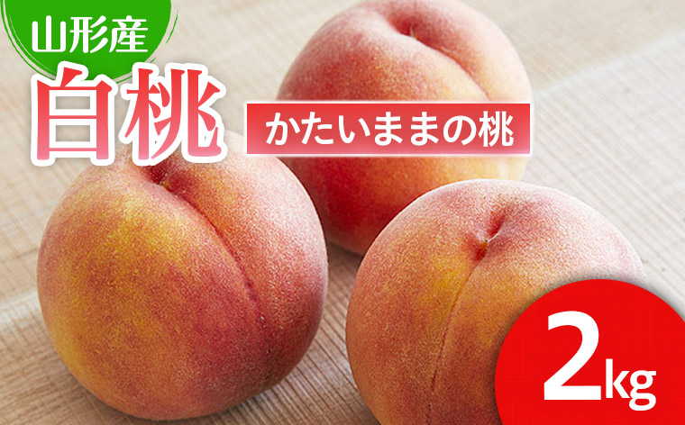 
            硬い食感が人気！山形産パリパリの硬い桃 約2kg 【令和7年産先行予約】FU21-078 くだもの 果物 フルーツ 山形 山形県 山形市 2025年産
          