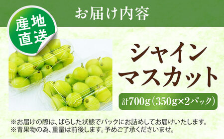 シャインマスカット 350g×2パック パック詰め ＜2026年8月下旬～発送開始＞ ／ シャインマスカット 大人気 愛媛県 美味しい 人気 皮ごと 葡萄 ブドウ 愛媛県産 内子町産 新鮮 旬 フルー