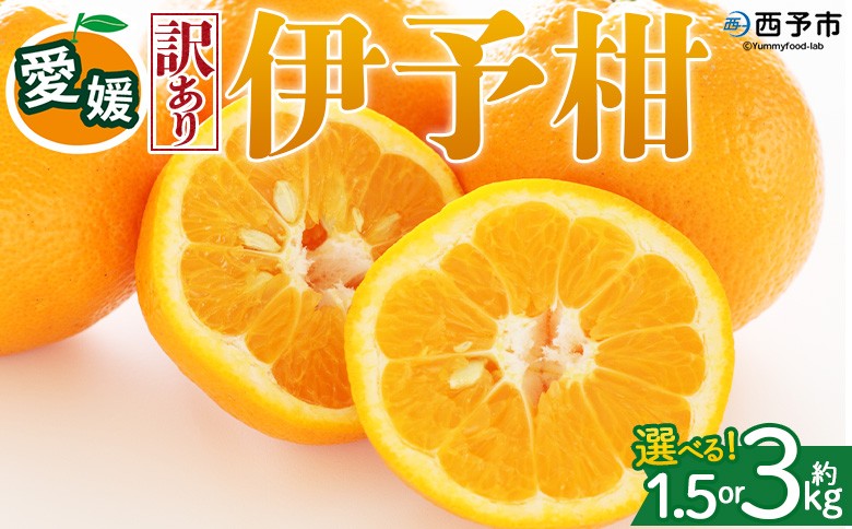 
                  ＜【訳あり】愛媛県産 伊予柑 約1.5kg／3kg＞『2027年1月上旬～3月下旬迄順次発送予定』 選べる 容量 内容量 わけあり いよかん ジューシー みかん 蜜柑 果物 くだもの フルーツ ミカン 果汁 国産 特産品 株式会社三代目みかん職人 愛媛 西予市【常温】
                