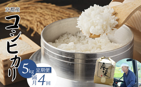 【隔月定期便】 【令和7年度産】 コシヒカリ 5kg×4回 20kg  精米 白米 お米