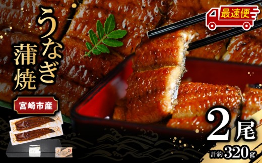 【最速便】【日時指定可能】宮崎県宮崎市産　うなぎの蒲焼　約320g（約160g×2尾）タレ・山椒セット_M325-006-2W