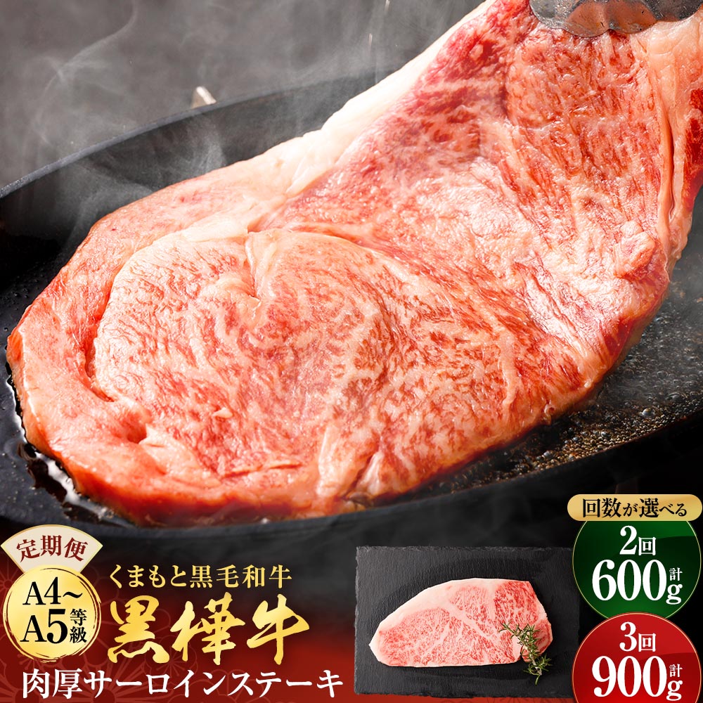 【ふるさと納税】＜回数が選べる＞ 定期便 黒樺牛 肉厚サーロインステーキ 1回約300g 2回 3回 くまもと黒毛和牛 和牛 お肉 牛肉 黒毛和牛 霜降り ステーキ 国産 九州産 熊本県産 冷凍 送料無料