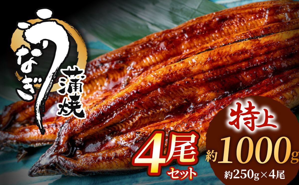うなぎ蒲焼き4尾セット(約250g×4尾セット)【魚住商店】_HA1494