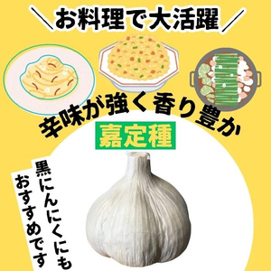 【A93001】＜先行予約受付中！2025年6月下旬より準備ができ次第発送＞農家直送 鹿児島県産 にんにく(約1kg) 鹿児島 国産 にんにく ニンニク 大蒜 野菜 ガーリック 薬味 【悠希農園】