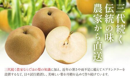 梨 新高梨 10kg 矢畑むらづくり組合【栃木県共通返礼品】【配送不可地域あり】(離島)