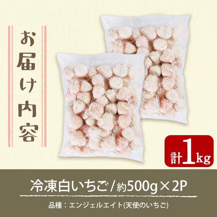 No.646-B 冷凍白いちご(約500g×2袋・計約1kg) 鹿児島 日置市 加工品 苺 イチゴ 冷凍 果物 フルーツ 小粒 アイス スムージー シロップ ジャム 数量限定 【ままりあ農園】