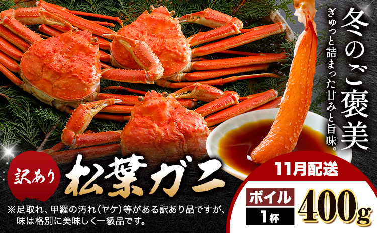【ふるさと納税】カニ 松葉ガニ 訳あり 400g ボイル 1杯《11月発送》 SOO合同会社 鳥取県 八頭町 送料無料  蟹 かに 姿 鍋 ズワイガニ  ズワイ蟹 ボイル 松葉ガニ 訳アリ