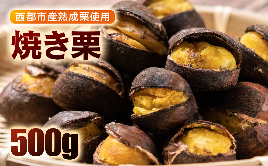 
            秋の味覚！ 熟成焼き栗 2パック 合計500g【先行予約】＜1-288＞くり 栗  国産 生栗 果物 フルーツ スイーツ
          