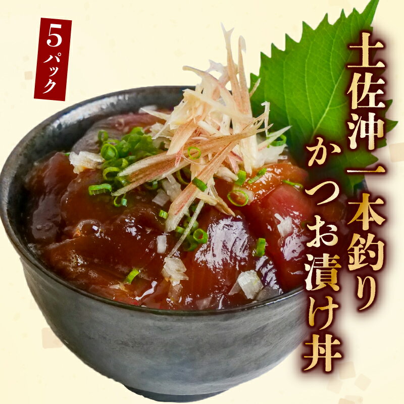 【ふるさと納税】 一本釣り かつお 漬け丼 80g×5袋 鰹 かつお 鰹丼 カツオ丼 海鮮丼 漬け丼 海鮮丼の具 手軽 便利 時短 惣菜 おかず 魚 海鮮 魚介類 刺身 刺し身 ふるさと納税かつお ふるさと納税漬け丼 ふるさと納税海鮮丼 ［1306］